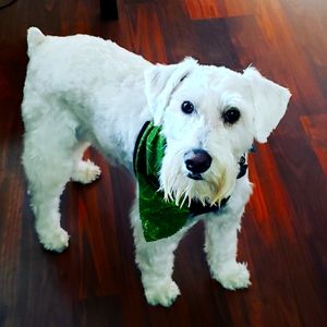 Meet your Posher, Mama